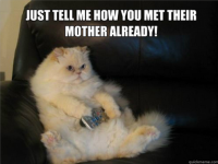 Do you ever leave the TV on for your pet when you are not home?