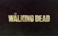 Do you watch the Walking Dead?