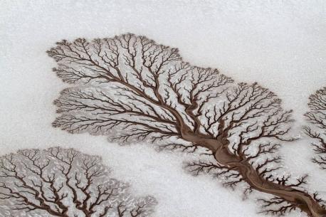 Baja California, Mexico - This may look just like a pretty drawing of tree branches, but it is an aerial view of the desert in Baja California. In this aerial photo, this is actually a river spreading across the barren, snow-covered desert land. (Image Source: spicedpumpkins/ Reddit) Does this photo look like a drawing to you?