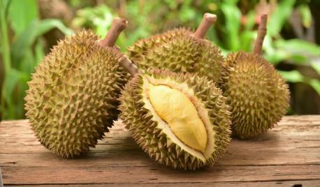 Durian is native to Asia and has a pungent odor. Scientists quoted in 