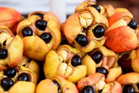 Ackee - A plant that produces fruit, found in West Africa, the Caribbean, southern Florida, and Central America. It is the national fruit of Jamaica and considered one of the country's best delicacies. Unripe fruit has a long-held reputation as being poisonous with potential fatalities. When ripe and cooked properly, the fruit arils are renowned as 