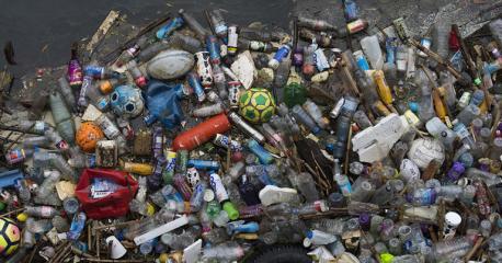 PET makes up 12 percent of all global waste. Like all plastics, it's made up of long string-like molecules. The enzyme reduces them into smaller parts – before chemical reassembly. AI (artificial intelligence), or machine learning, generated novel mutations to a natural enzyme called PETase that allows bacteria to degrade PET. Prof Alper and colleagues analysed dozens of discarded plastic items including containers, water bottles and polyester fibres and fabrics – all made from PET. Experiments proved the effectiveness of the enzyme named FAST-PETase (functional, active, stable and tolerant PETase). Do you think it is important to minimize plastic waste?