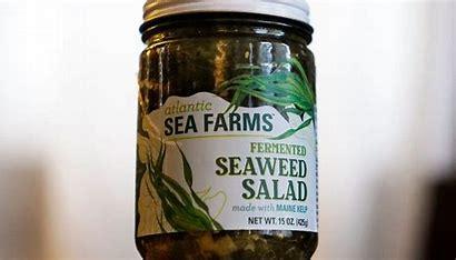 Roughly 90% of seaweed is currently grown overseas, but the U.S. seaweed market is expected to grow to over $5 billion over the next six years, according to research and data provider Fact.MR. Seaweed is most commonly used in foods and supplements, but it has recently branched out to cosmetics, clothing and bioplastics (a plastic derived from biological substances rather than from petroleum, many types of which are biodegradable). Seaweed is also a natural carbon sink, helping the ocean to absorb excess carbon dioxide from the atmosphere. Does this sound promising for Maine's economy and the environment?
