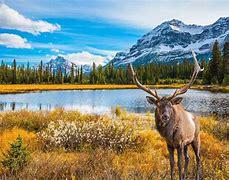As the largest national park in the Canadian Rockies, Jasper offers no shortage of outdoor fun. Come to this Alberta, Canada, national park to enjoy an array of adventure activities in summer, including hiking, biking and boating, plus snowshoeing, cross-country skiing and ice climbing in winter. A spring visit will give you a front-row look at rushing waterfalls and offers prime wildlife viewing opportunities, while a fall trip lends itself well to camping. No matter when you visit, be sure you take some time to stargaze. Jasper is the second-largest dark sky preserve in the world. Have you ever been to Jasper National Park?