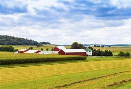 It could also turn croplands and pastures into