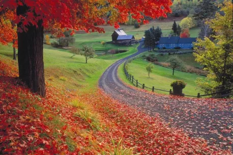 Have you ever taken a fall foliage day trip?