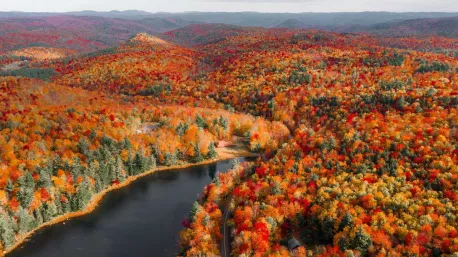 If health and wealth were not an issue, would you want a vacation home on water that has a multitude of autumn colors?