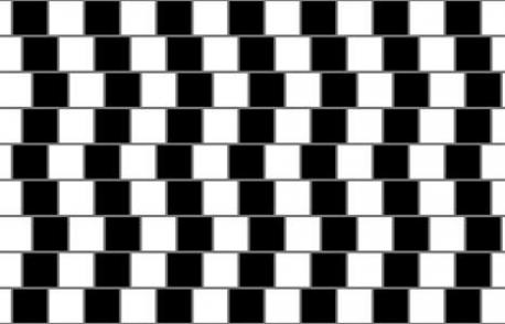Dr. Richard Gregory first observed this illusion in the tiles on the wall of a Bristol cafe (hence the name). The alternating light and dark bricks are staggered and the gray 