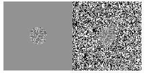 The Chubb Illusion reveals that the apparent contrast of an object will vary depending on the context around the presentation. The middle circles here are exactly the same, but paired with a uniform background, the circle seems to have a higher contrast than when it's surrounded by a high-contrast texture. Do these circles appear different to you?