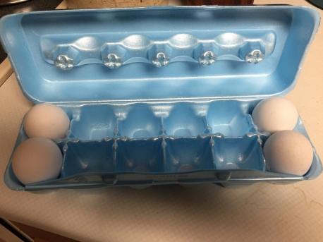 Others think this is the way eggs should be placed in a carton - with the eggs evenly distributed in the carton so the weight is kept level. Do you think this makes more sense?