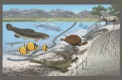 For two decades, scientists examined fossils and sediment in present-day Mali to form an accurate picture of what this prehistoric environment looked like. They concluded the body of water was warm and shallow and, less pleasantly, was home to five-foot-long catfish and 40-foot-long sea snakes. Does it surprise you that the fossils found in the desert were of giant modern-day marine creatures?