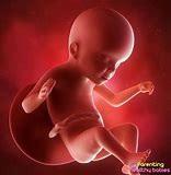 Along with more common movements, babies perform some odder activities, including licking the uterine wall and