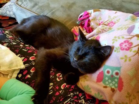 Even though Jeff was technically our 