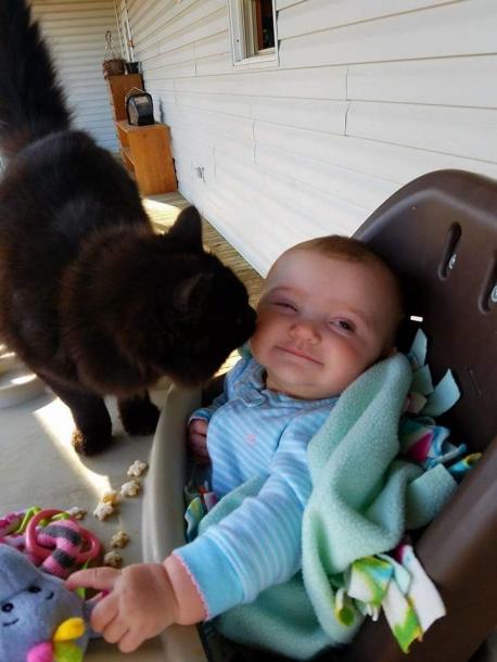 Now, please don't mistake any of this for indicating that Jeff was a good barn cat. We have all watched mice run right past him (over his tail once) with Jeff awkwardly stumble in a lame attempt at looking as if he had any idea what he was doing. When he did hunt, he was so uncoordinated that he would almost never catch his intended target and would instead start 