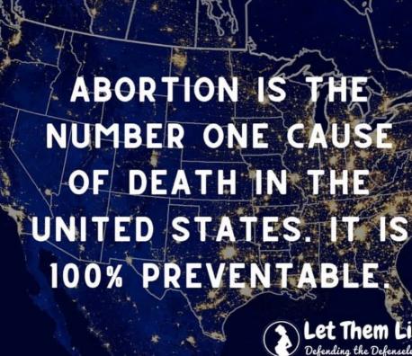 Does this video help you understand why many (including the author of this survey) are against abortion?