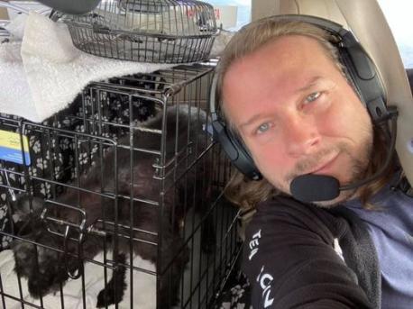 A novice pilot, Jeremy Wade, who lived near the Howards and has flown animals before, volunteered his services to get the animal back to his family. Do you know anyone who has helped return an animal to its rightful owner?