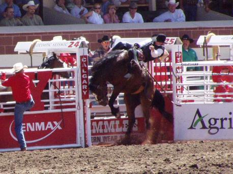 Have you ever went to the Calgary Stampede in Calgary, Alberta?