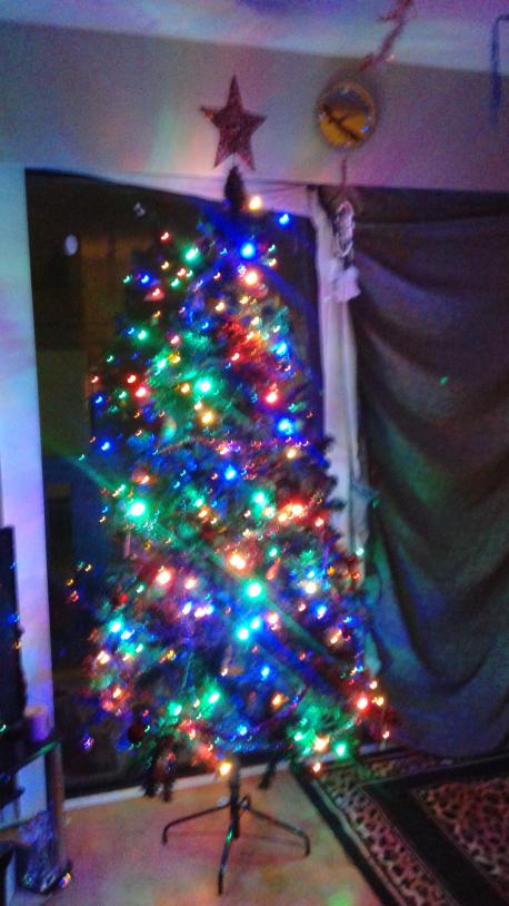 How tall is your Christmas tree?