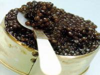 caviar?