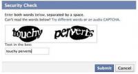Have you ever had an odd captcha with a naughty message?