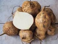 Jicama: Delightfully crunchy and juicy, jicama is a staple in authentic Mexican cuisine. A cross between an apple and a potato, jicama plays well in both sweet and savory dishes. It's also nutritious and low in calories. ARE YOU GOING TO TRY THIS VEGETABLE?