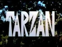 Ely is best known for having portrayed Tarzan in the 1966–1968 NBC series Tarzan. Did you ever watch this show?