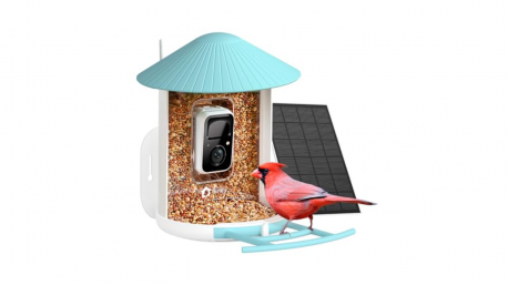 Netvue by Birdfy Smart Bird Feeder. This feeder captures photos and videos of all the action, plus it sends notifications when a new feathered friend makes a pit stop. For yourself or somebody else?