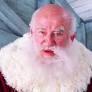 Ed Asner (Elf)?