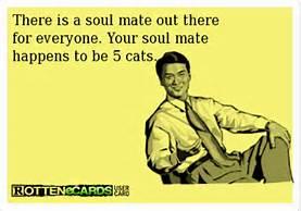 Do you believe a person has only 1 soul mate in their lifetime?