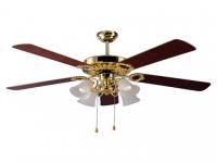 Do you have ceiling fan at home?