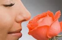 Per Tumbler, women are more influenced by how a man smells than how he looks. Do you find this to be true in todays society?
