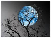 This was the first blue moon since 2012 and is not expected to appear again for another 3 years. Will you be on the lookout for it now that you know it happens?