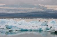 Do you believe that global warming is real?