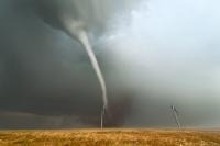 What natural disasters have you witnessed?