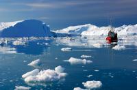 Do you believe global warming has affected your state or local area?