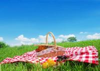 What is your favorite picnic drink?