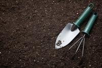 Do you wait for spring to plant flowers?