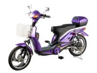 Do You or someone in your family own an E-Bike Scooter (Electric Bike)?