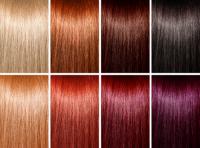 What hair color are you most attracted to?
