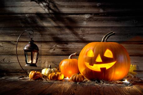 Will you be celebrating Halloween this year?
