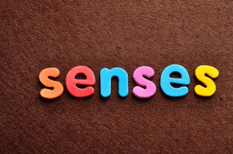 Which sense would you prefer to lose: your sense of taste or your sense of hearing?