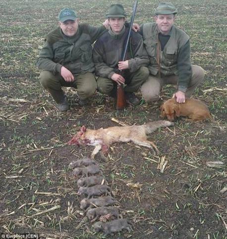Three 'men' to take down a tiny fox and her little babies. Not only did they kill this female fox, but these parasitic inbreeds murdered her 7 babies and lined them up for the camera shot. Where's the outrage? Do you condone this senseless killing??