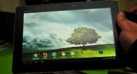 I was interested in the Asus Transformer TF700. Are you familiar with the the brand and the model?