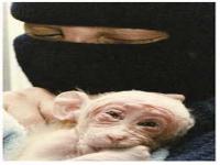 There is a group calling themselves the Animal Liberation Front and these individuals risk their lives to break into testing labs or fur farms to rescue all the animals inside which have been abused almost to death. They then take these abused animals to different farm sanctuaries where they can get proper care. What is your opinion of these courageous people?