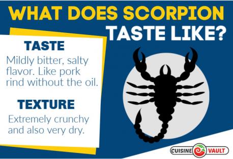 scorpion scorpions scorpios tellwut