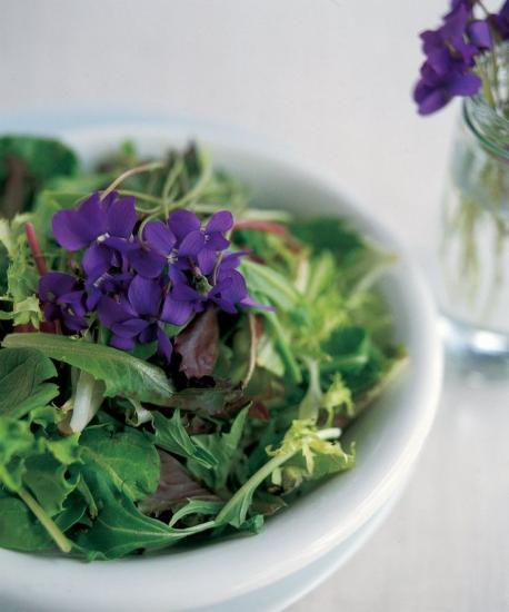 Violets are edible and some claim they have medicinal properties. Have you ever ate a violet before?