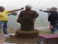 Have you heard about Beekeeper She Ping of Chongqing, China, who managed to stand still while 100 pounds of bees (approximately 460,000 stingers) swarmed and crawled over his body?