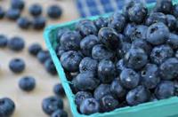 July is National Blueberry Month... did you know this?