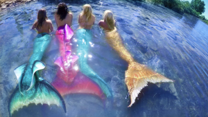 If you dreamed of being a mermaid or merman as a child, think again. The world of Professional mermaiding is a cutthroat business. The competition is fierce. Some of the top mermaids in the business work at Weeki Wachee Springs, Florida. Have you ever visited Weeki Wachee Springs?