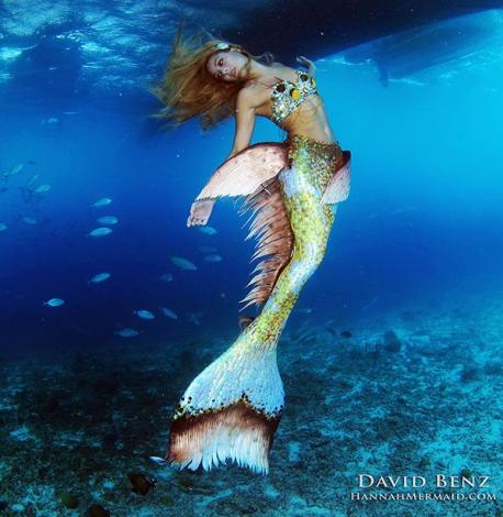 Some mermaids work freelance like Mermaid Melissa. Mermaid Melissa works around the world spreading the message of conservation during her underwater performances. Would you like to see Melissa perform?